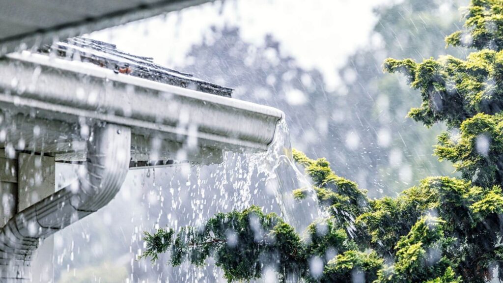 Overflowing gutters clogged with leaves on a residential Miami home