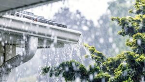 Overflowing gutters clogged with leaves on a residential Miami home