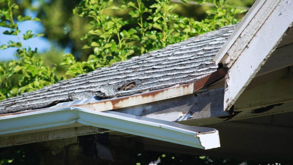 Severely damaged rain gutter detached from a house roof